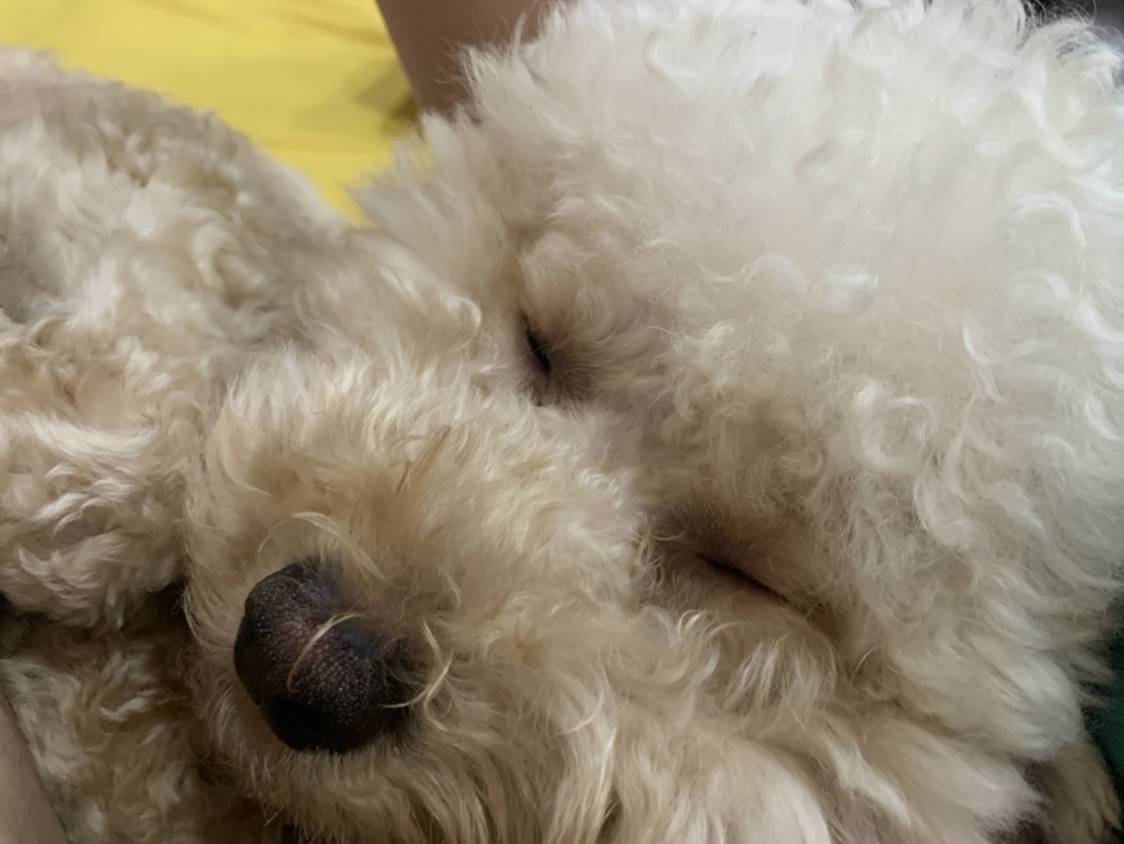 北京国安新赛季备战：薪资解决，塞蒂恩轻伤无碍，澳大利亚裁判执法在望